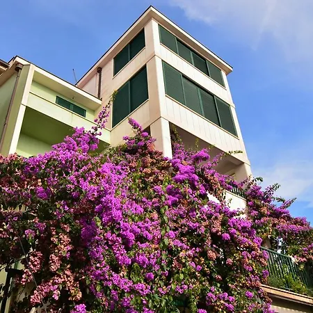 Mustapic 公寓 马卡尔斯卡