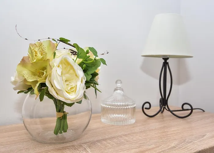 Mustapic 公寓 马卡尔斯卡